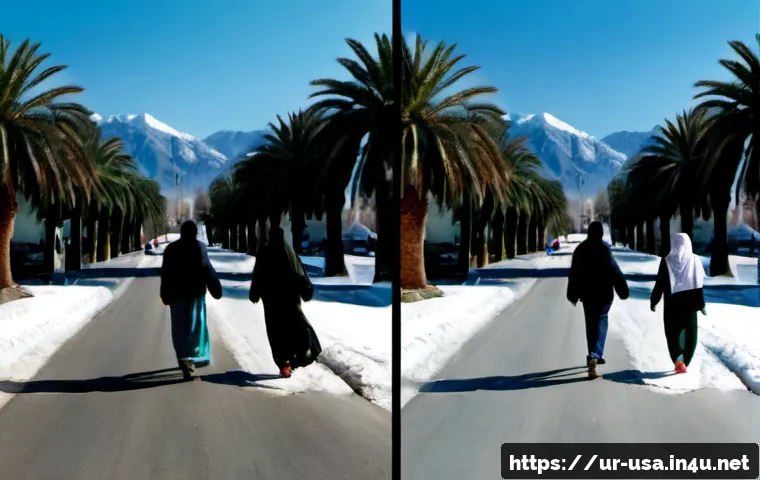 Home 17 미국 도시별 기후 차이 - Photorealistic split-scene comparison of American city climates: a sunlit dry desert boulevard with ...